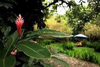 Casa Comalli & Spa Comala Extérieur photo